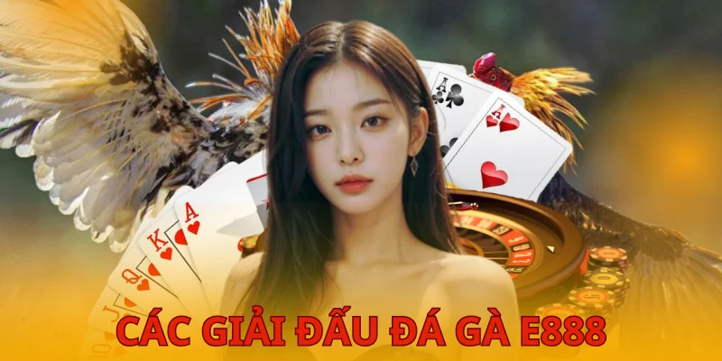 Top giải đấu đá gà KUBET được người chơi ưa chuộng