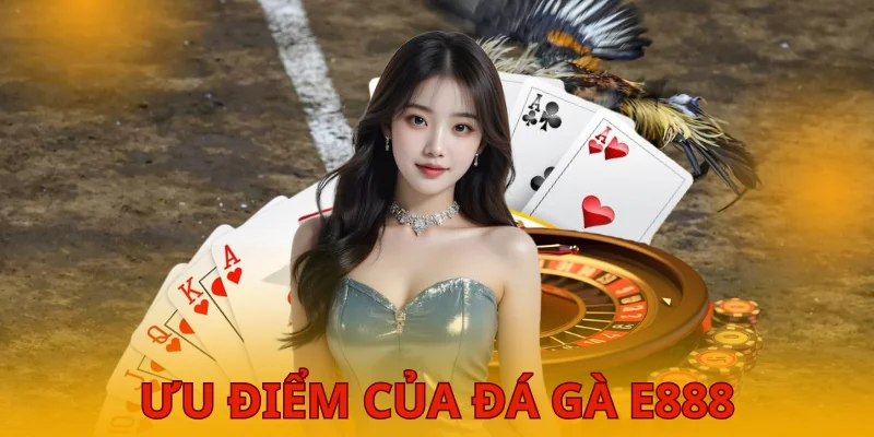 Những ưu điểm khi hội viên thực chiến đấu kê KUBET 