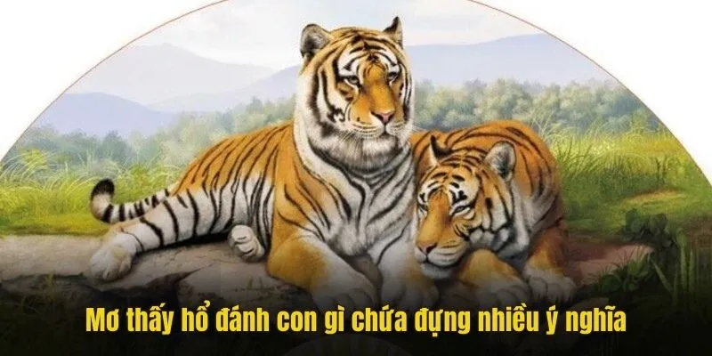 Mơ thấy hổ đánh con gì chứa đựng nhiều ý nghĩa