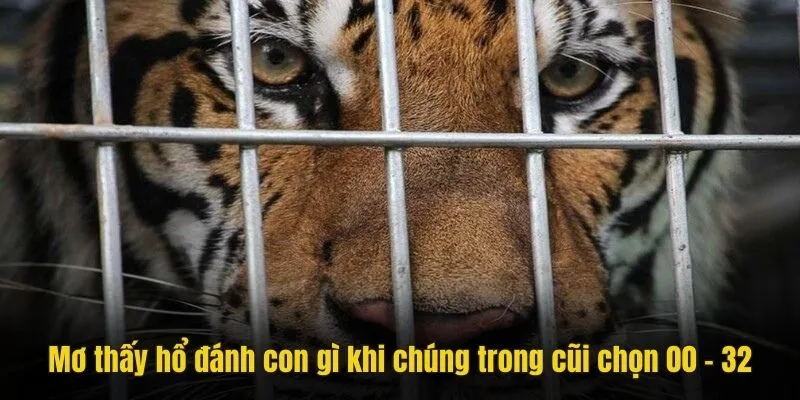 Mơ thấy hổ đánh con gì khi chúng trong cũi chọn 00 - 32