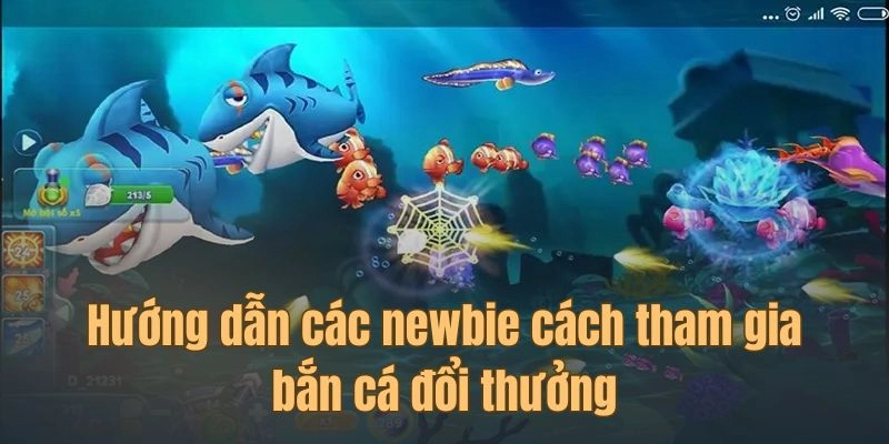  Nắm bắt cách tham gia vào sảnh cho newbie