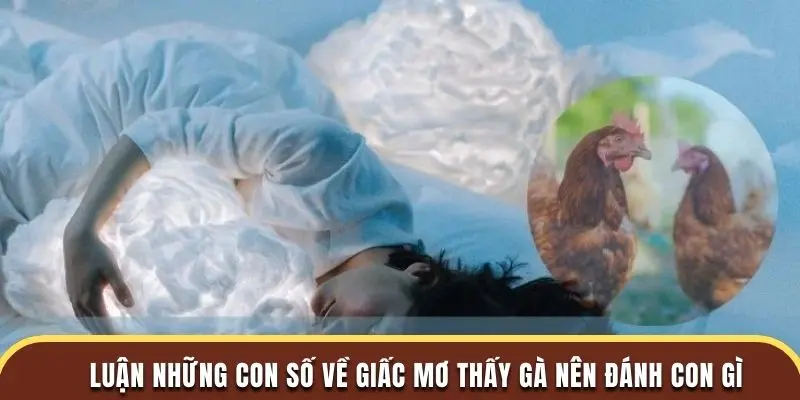 Luận những con số về giấc mơ thấy gà đánh con gì