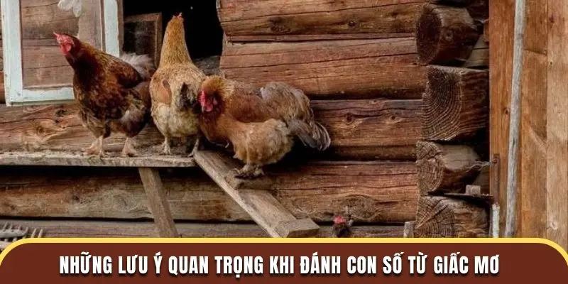 Những lưu ý quan trọng khi đánh con số từ giấc mơ