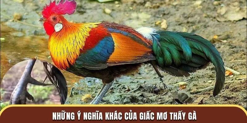 Những ý nghĩa khác của giấc mơ thấy gà